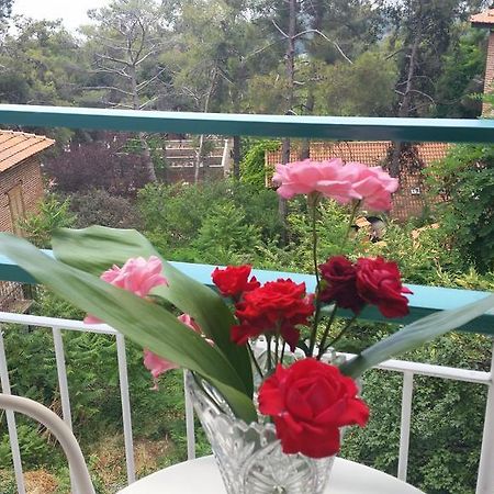 Edelweiss Hotel Platres Dış mekan fotoğraf